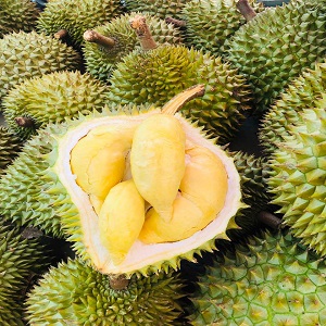 Hợp tác xã Nhơn Thọ 1A