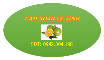 Hộ kinh doanh Lê Quang Vinh