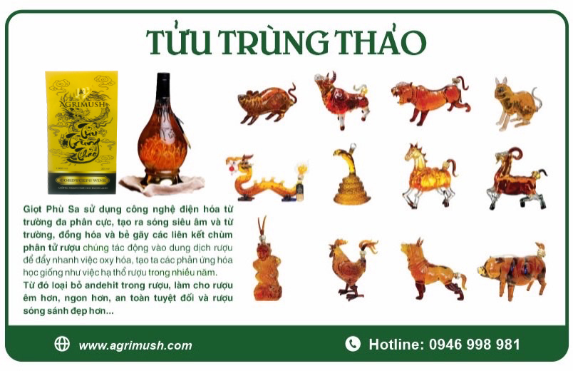 Product Info Image 5