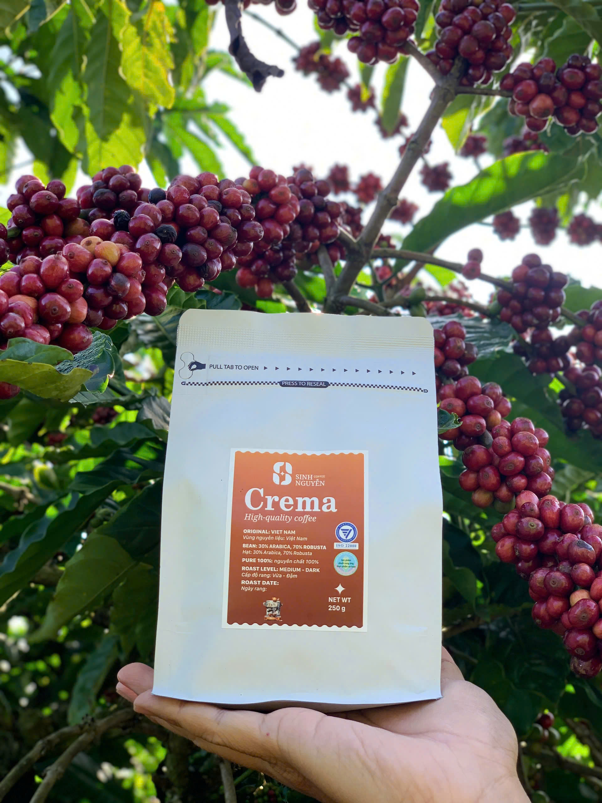 Product Info Image 3