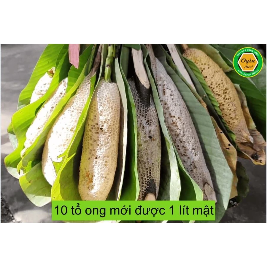 Product Info Image 10