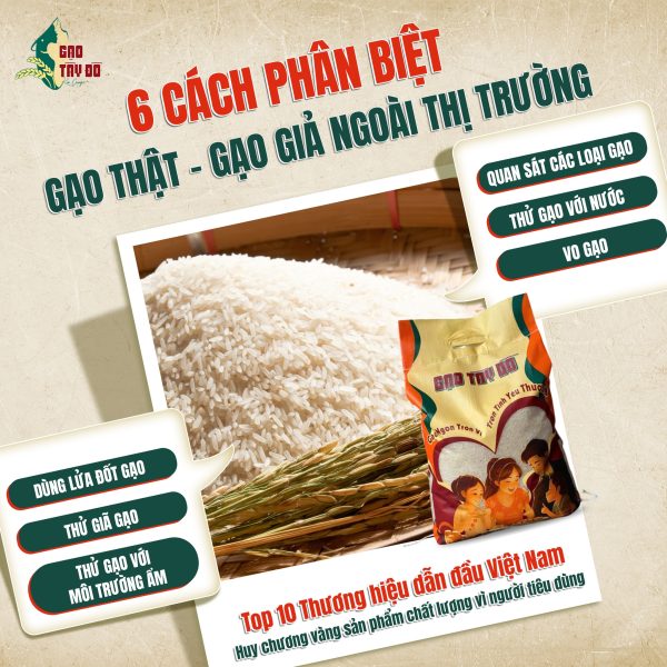 Product Info Image 2