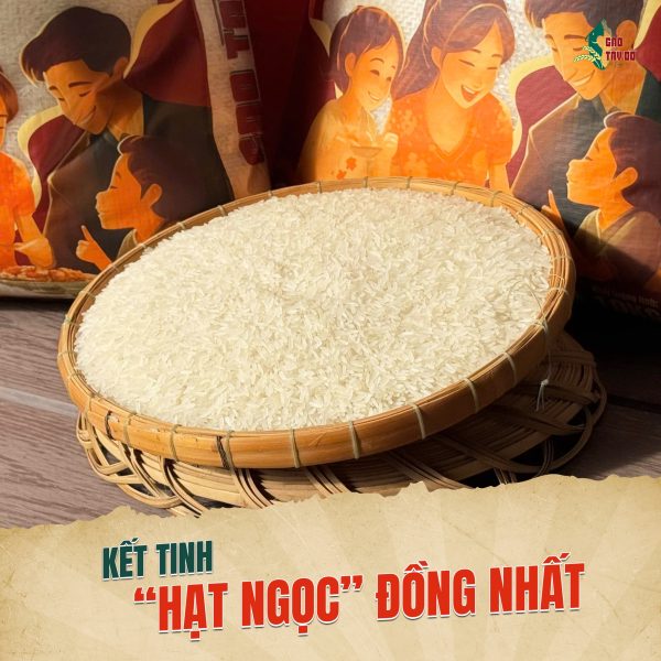 Product Info Image 4
