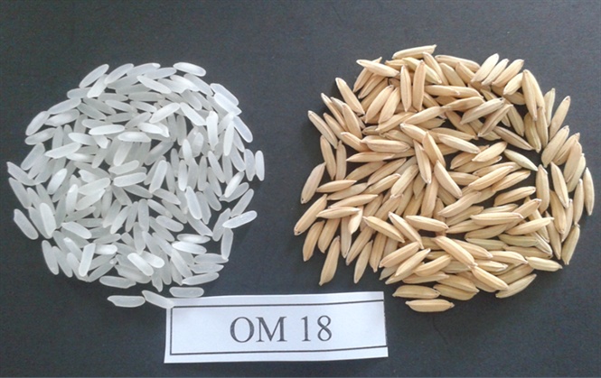 Product Info Image 1