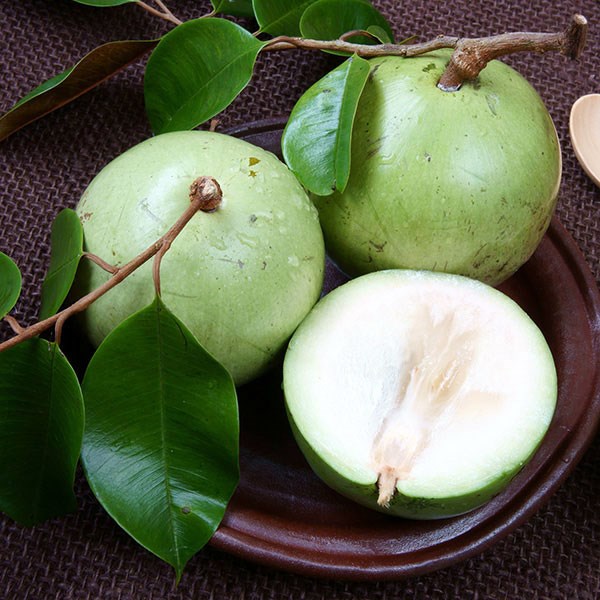 Product Info Image 1