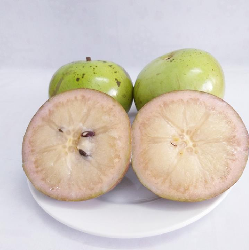 Product Info Image 5