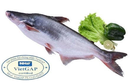 Product Info Image 1