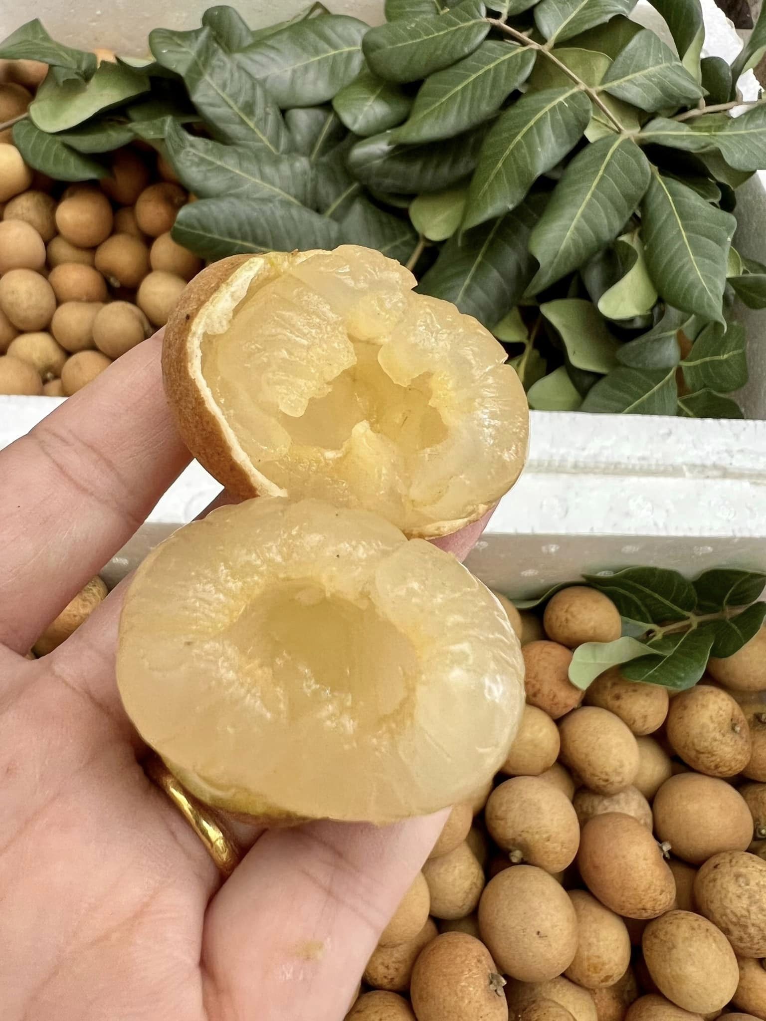Product Info Image 1