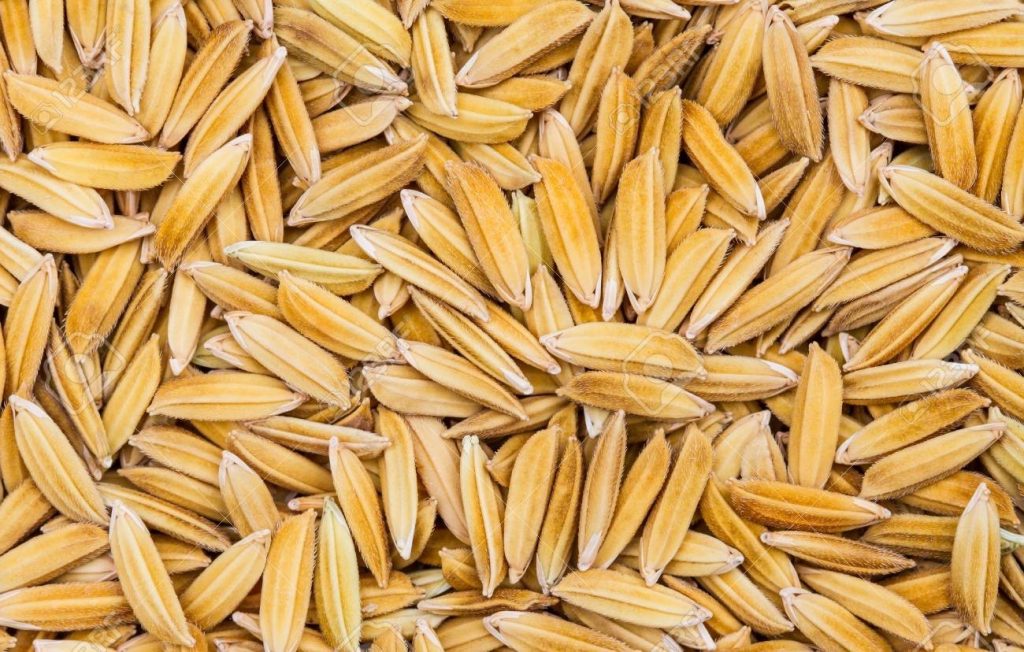 Product Info Image 2