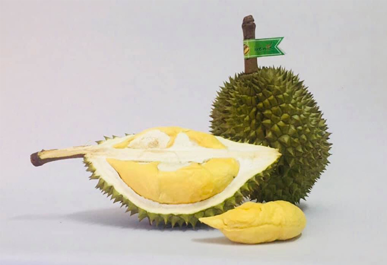 Product Info Image 3