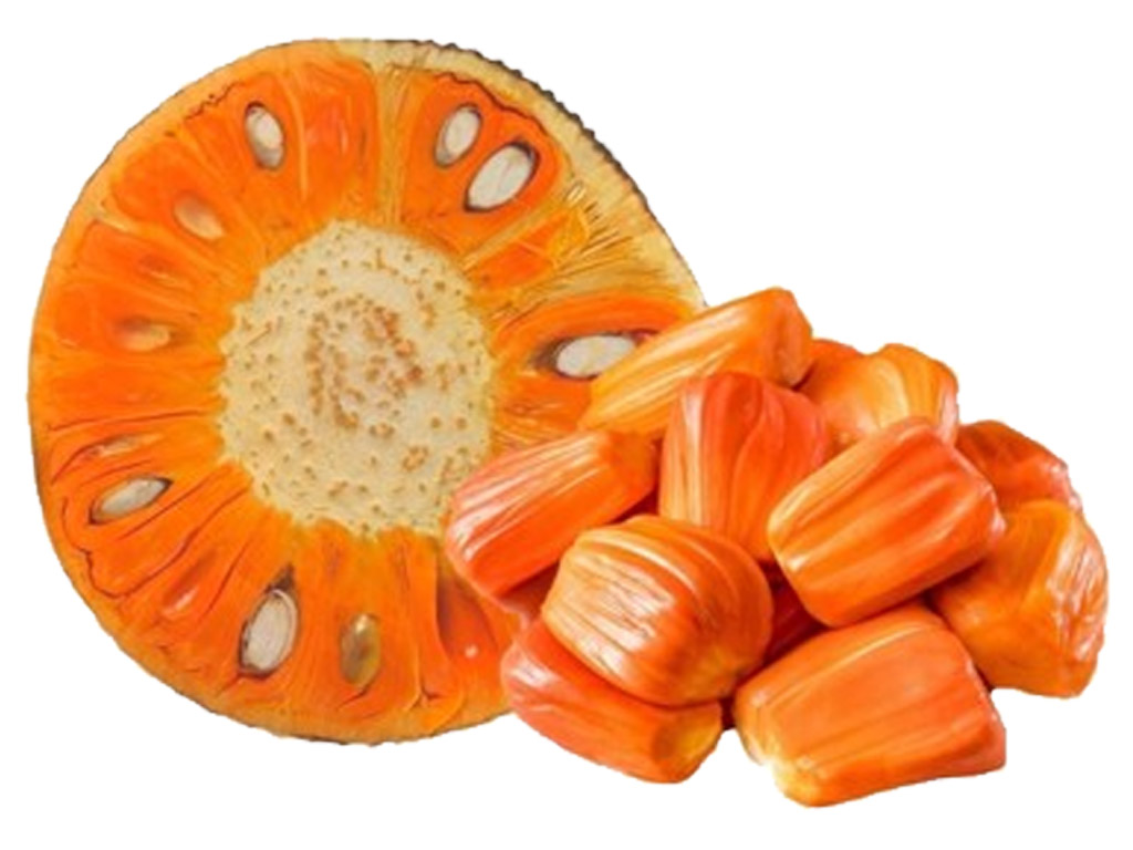 Product Info Image 2
