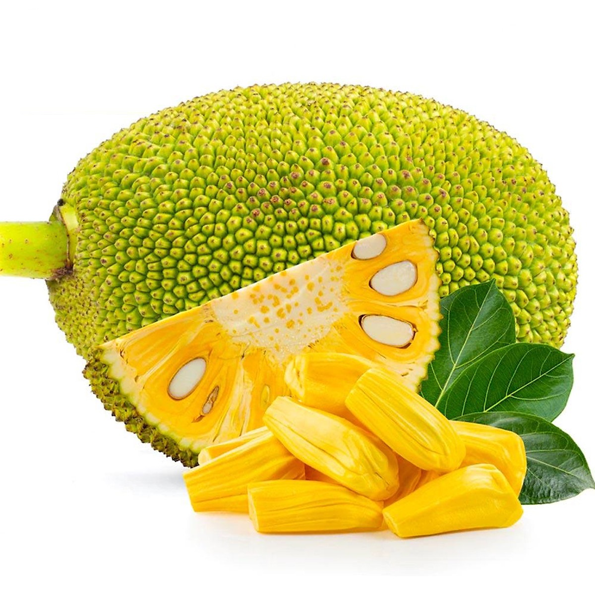 Product Info Image 4