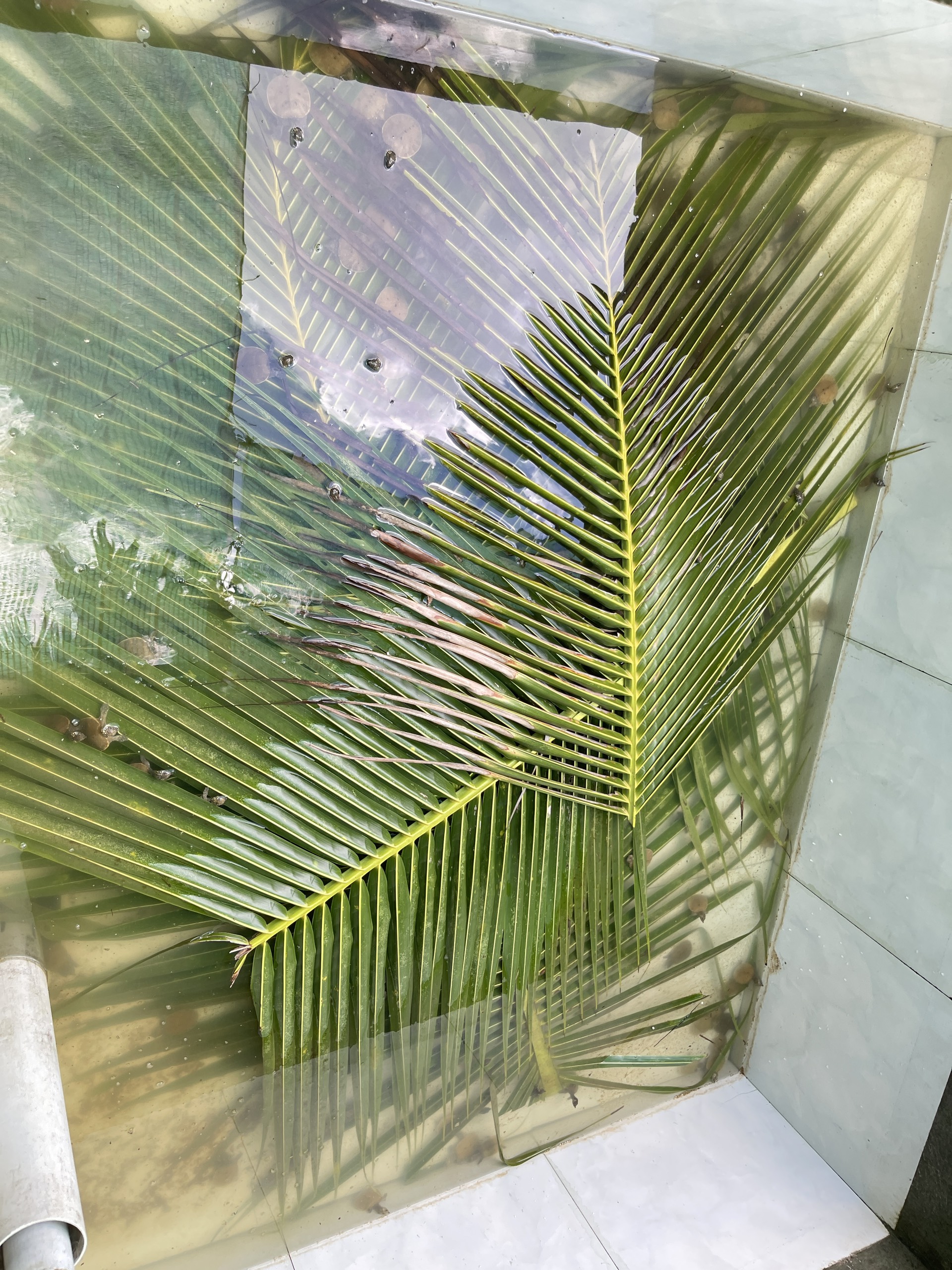 Product Info Image 7