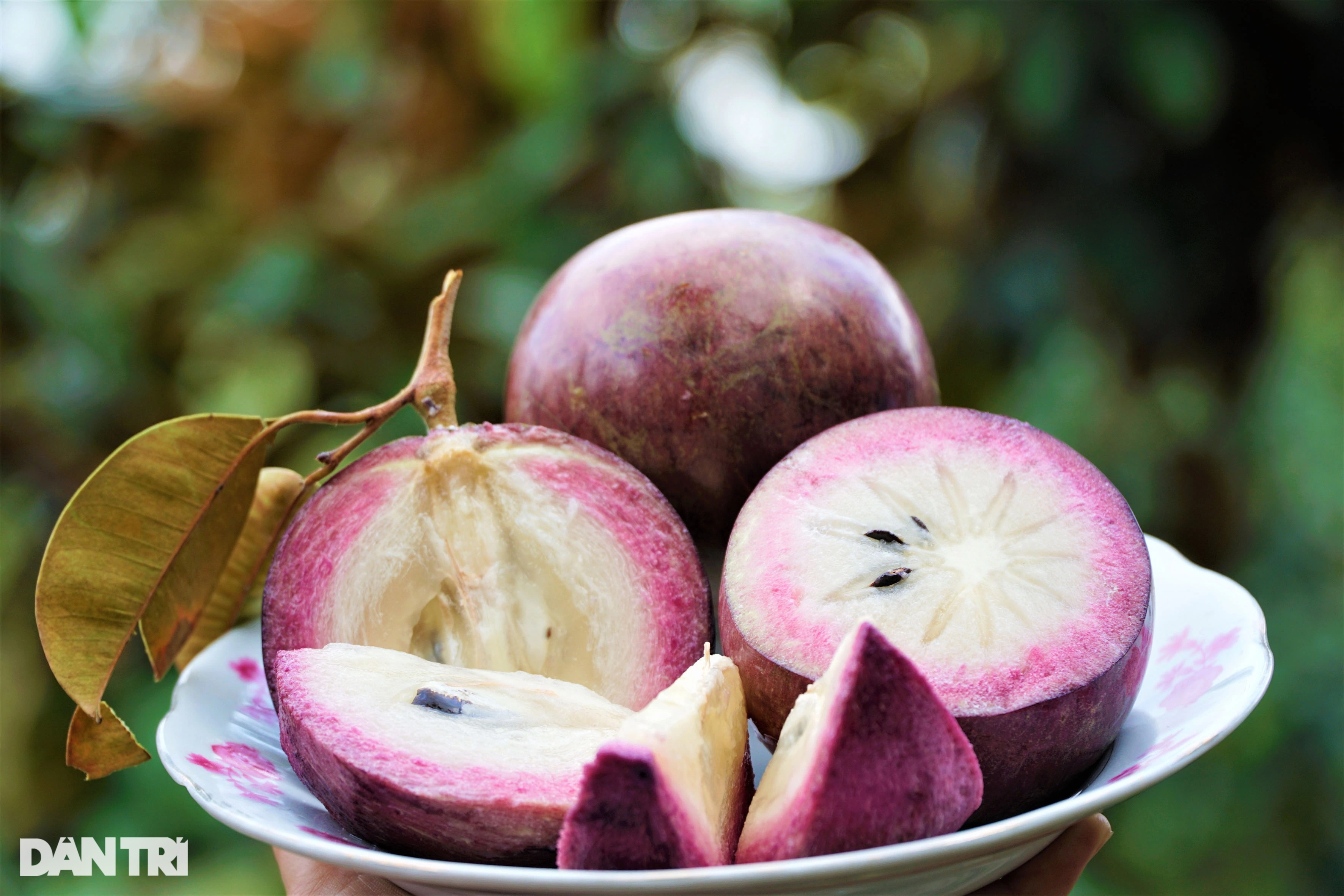 Product Info Image 3