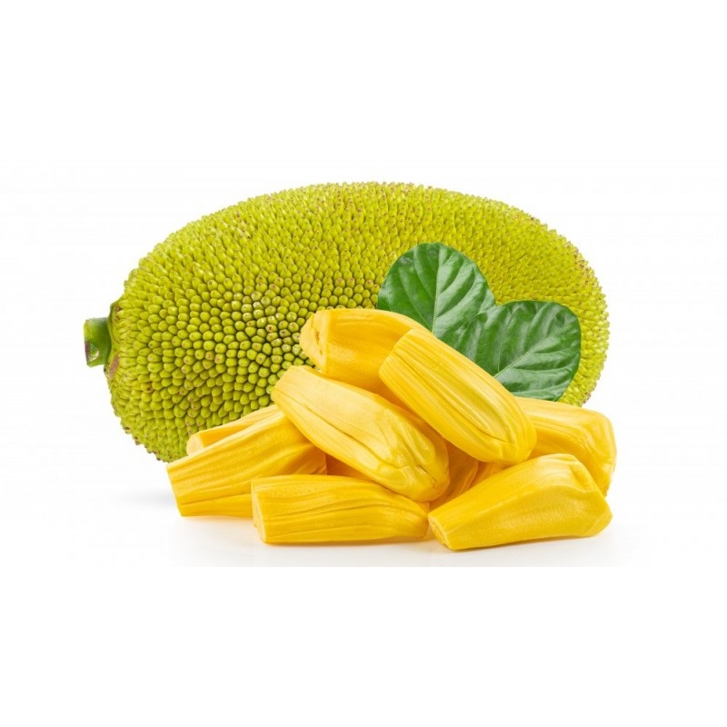 Product Info Image 4