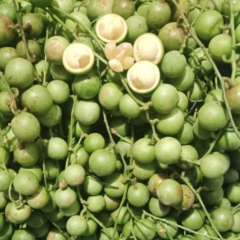 Product Info Image 2