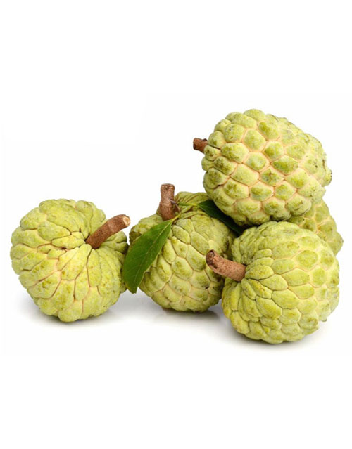 Product Info Image 1