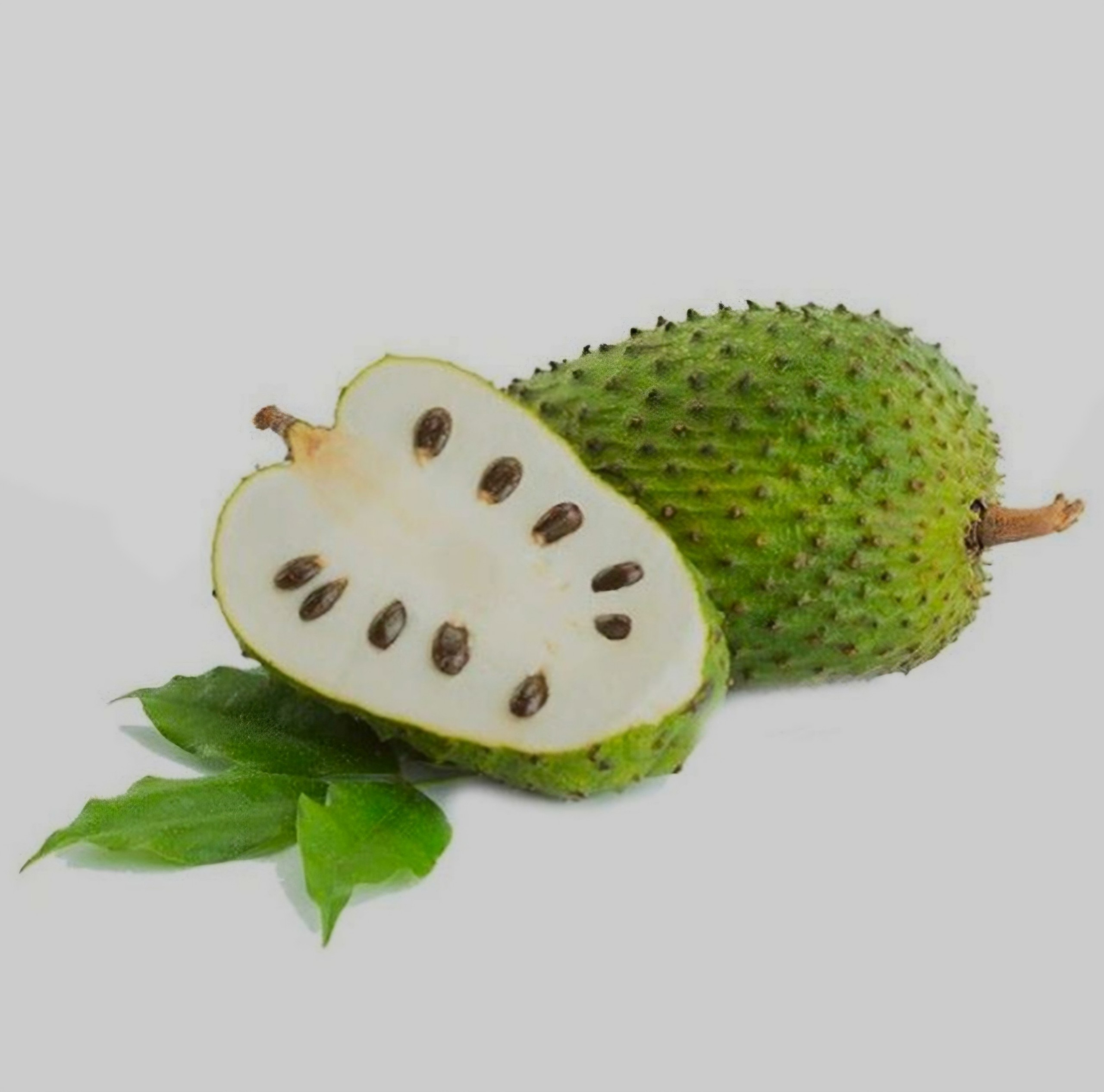 Product Info Image 2