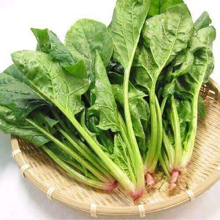 Product Info Image 1