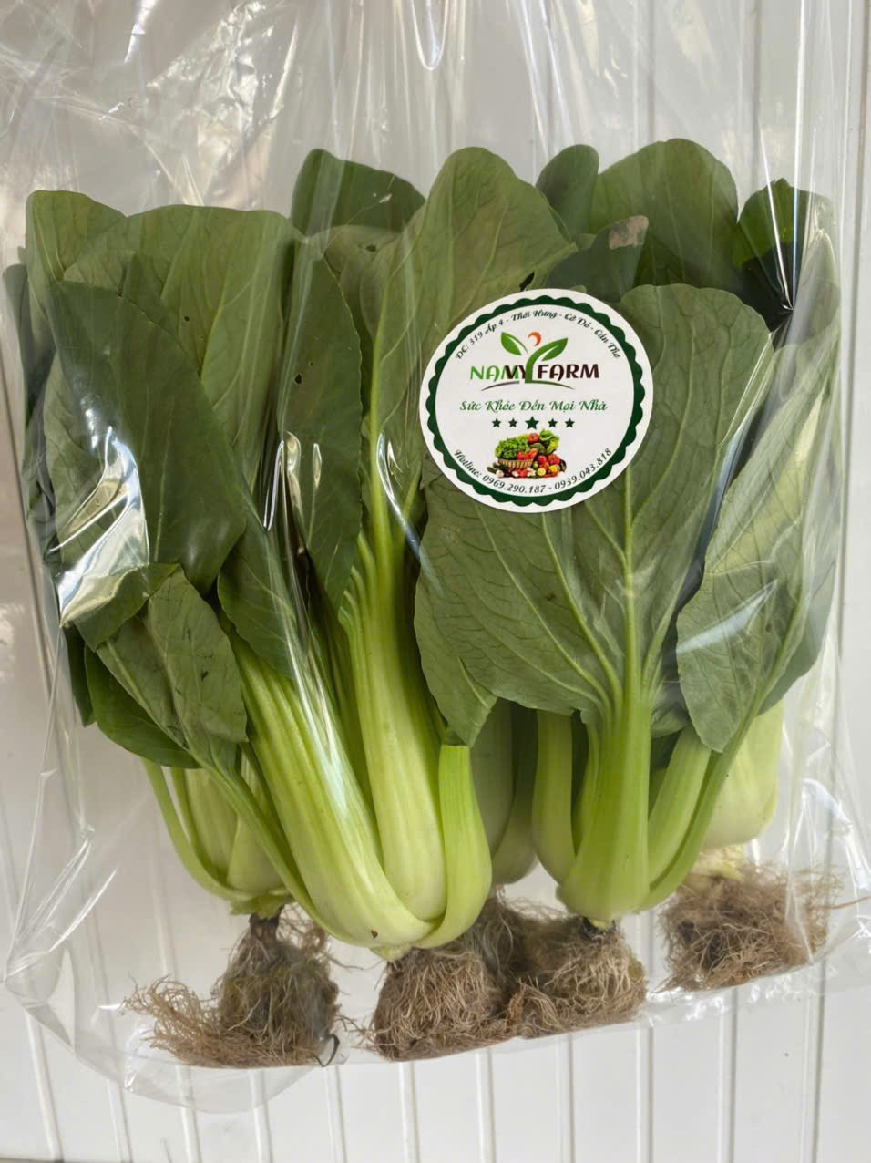 Product Info Image 3