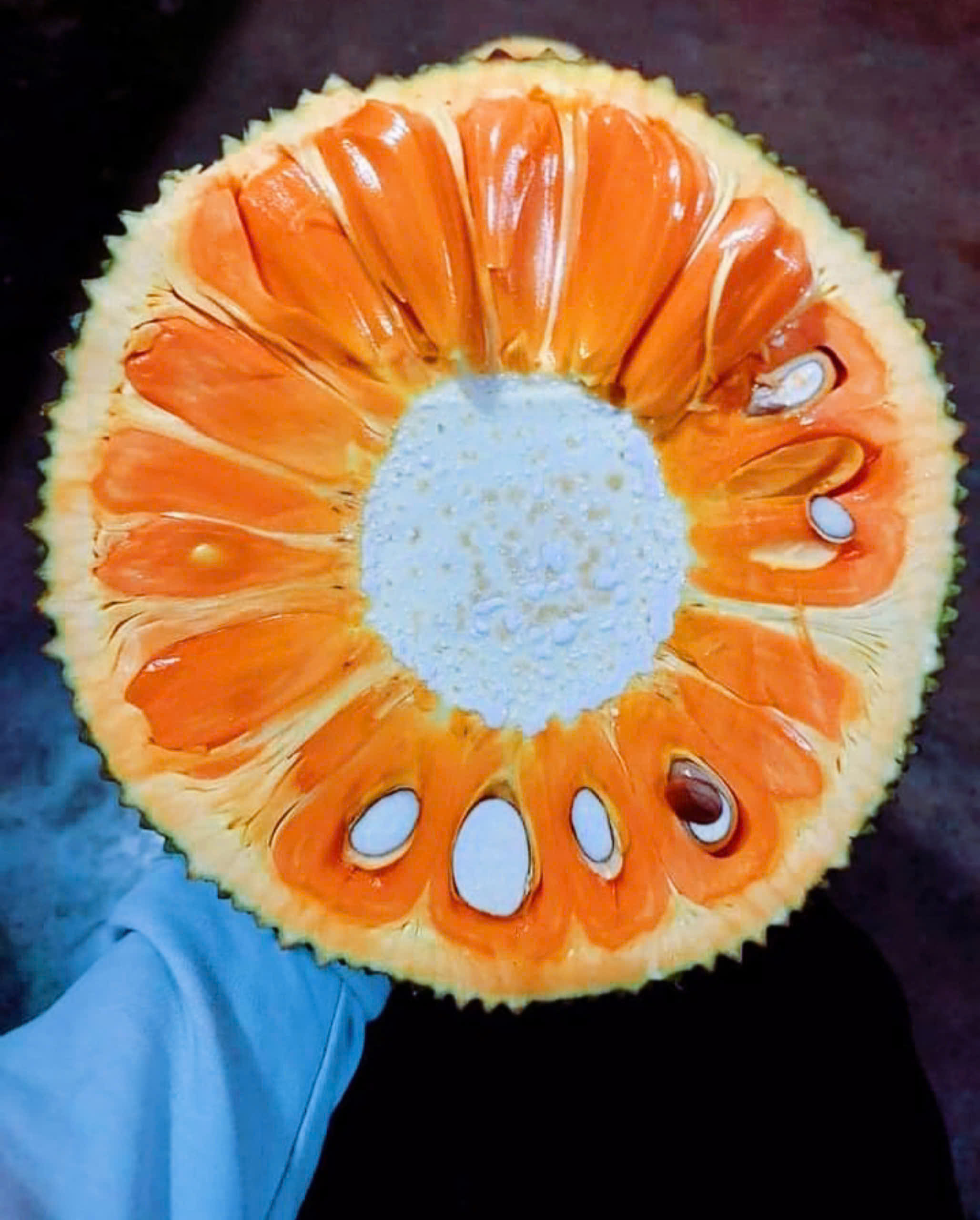 Product Info Image 2