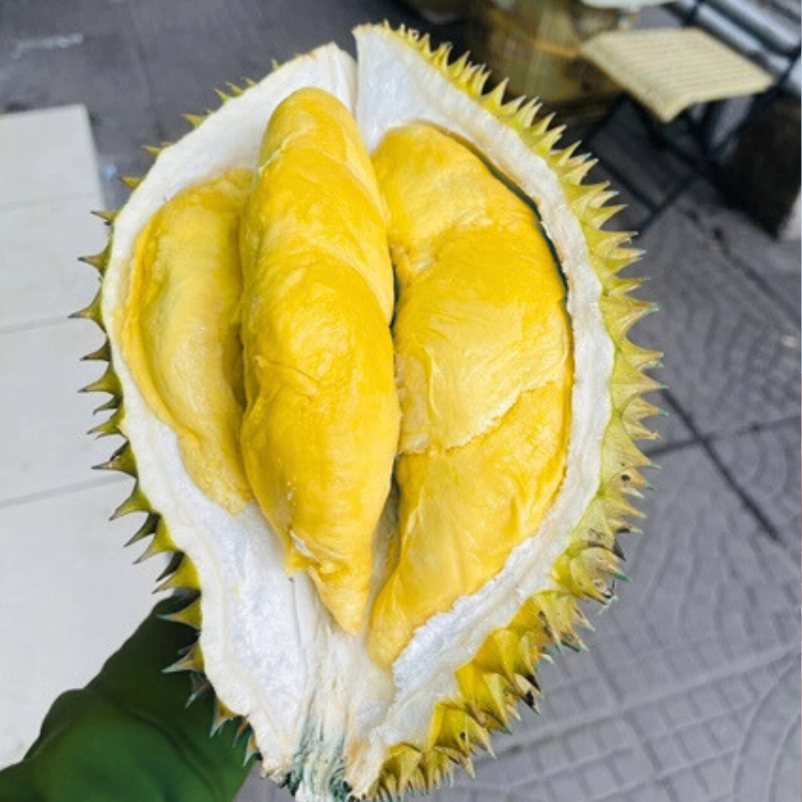 Sầu riêng Ri6 - Trường Tây 1
