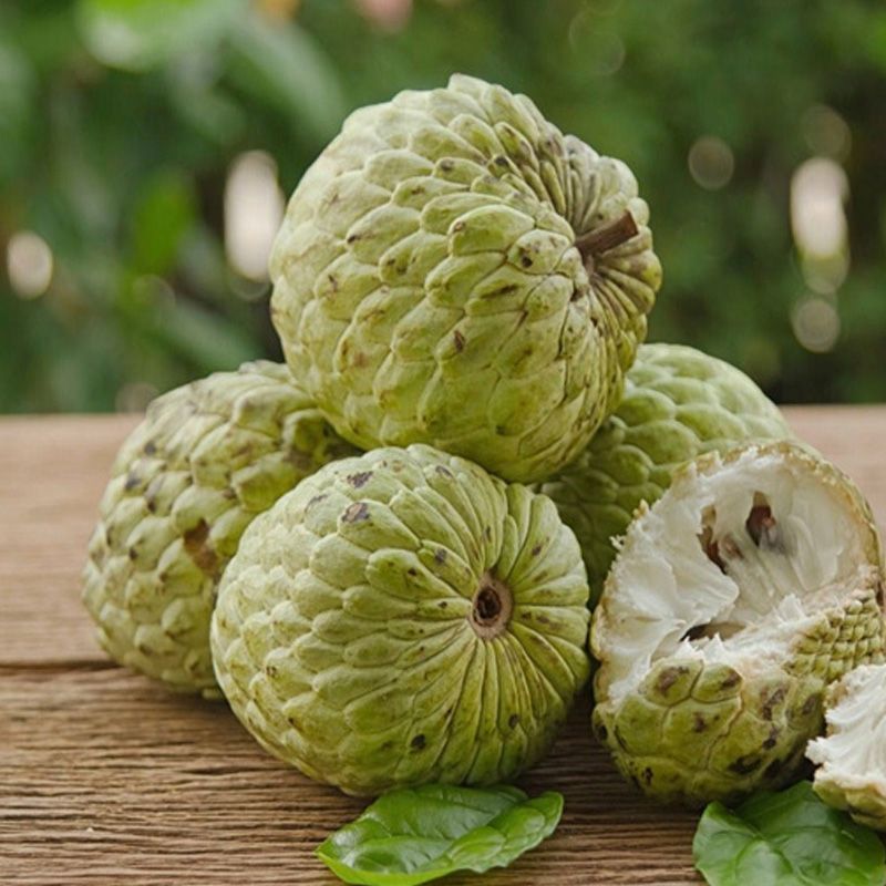 Mãng cầu Thái (Na Thái)
