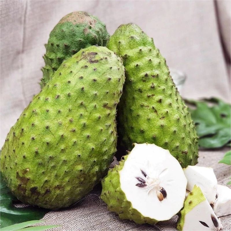 Mãng cầu gai