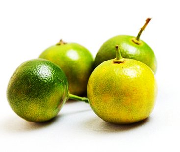 Trái hạnh (tắc)