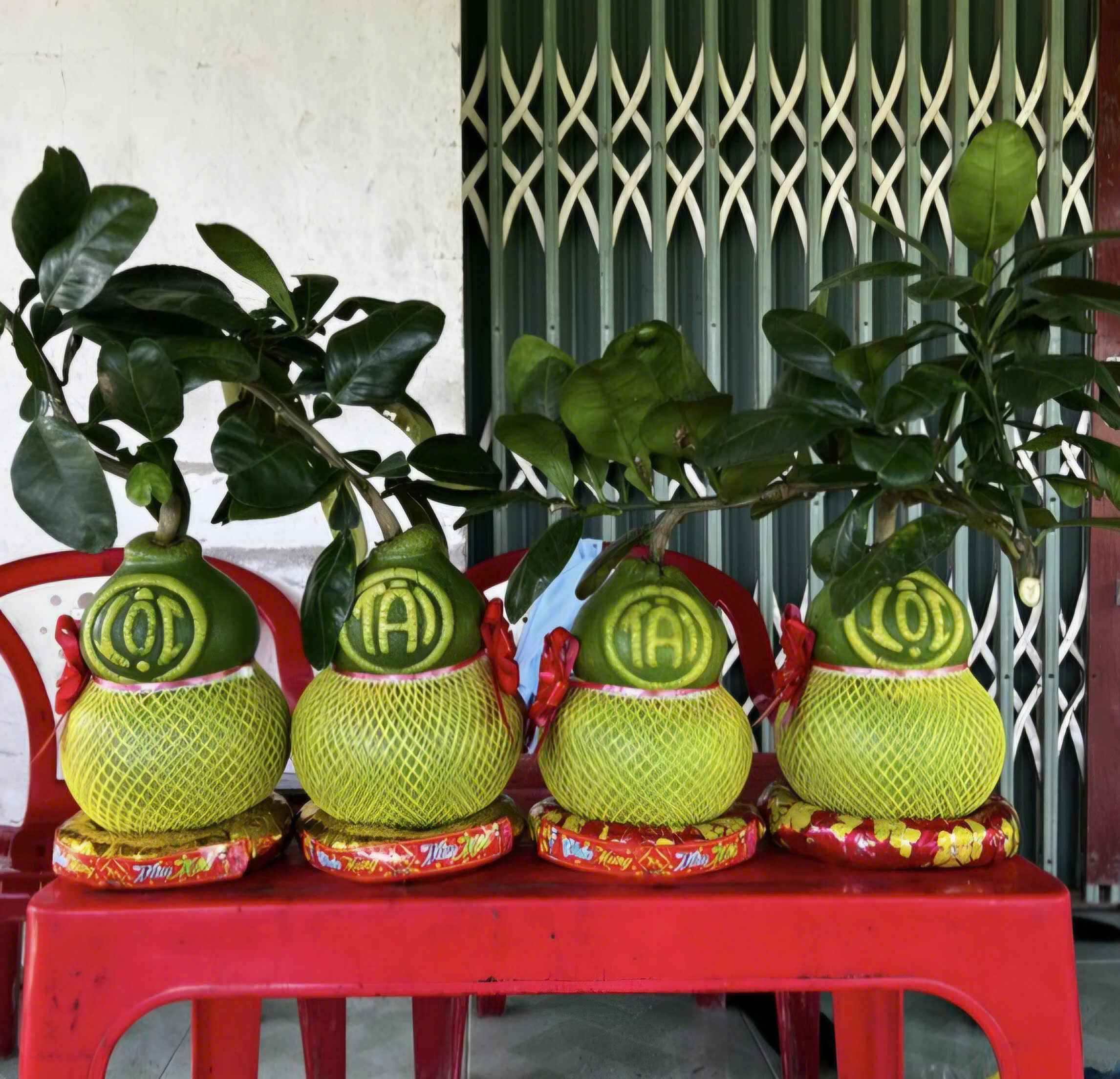 Bưởi Năm Roi Văn Lâm