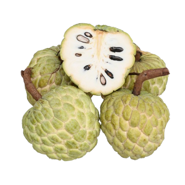 Mãng cầu Thái (Na Thái)
