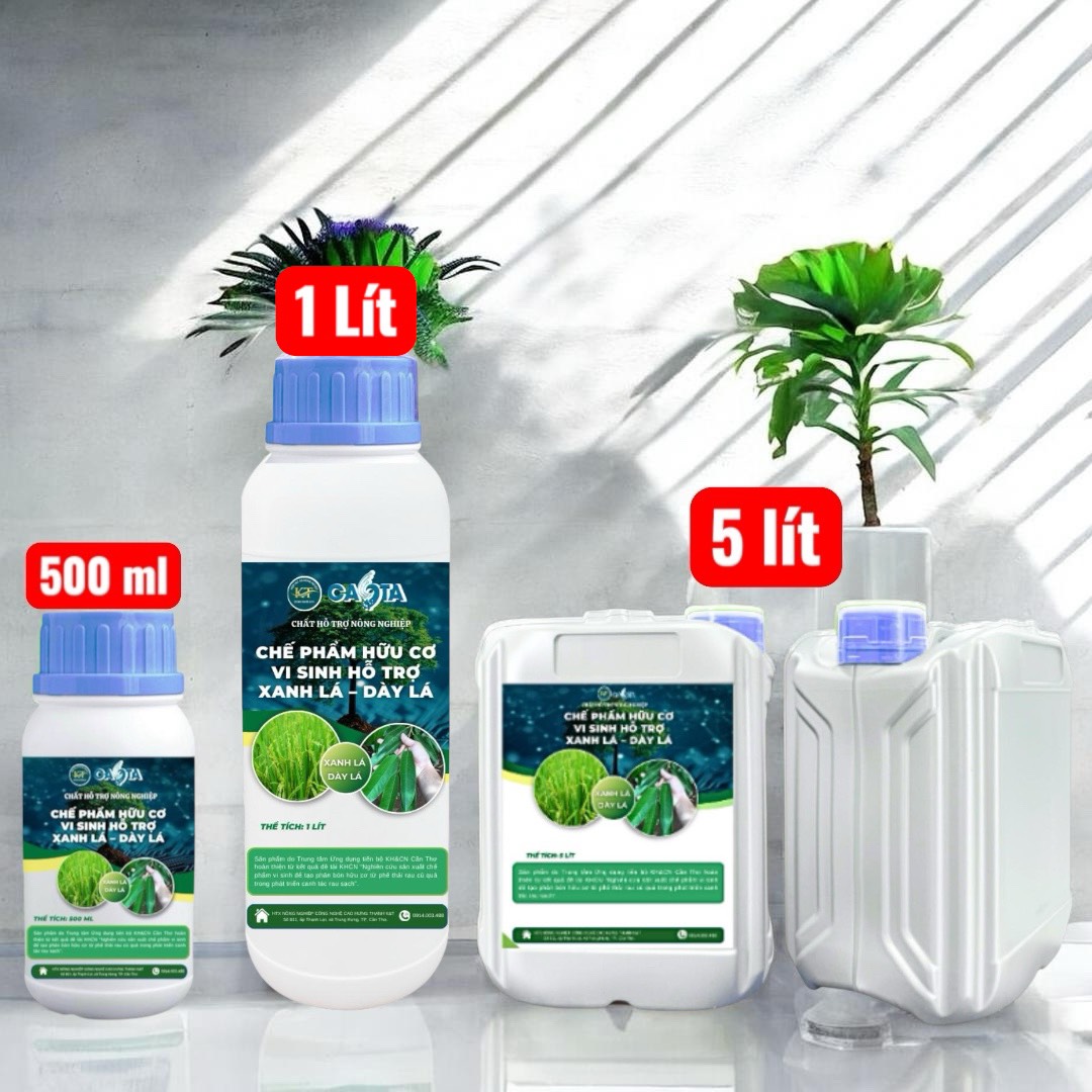 Chế phẩm hữu cơ vi sinh hỗ trợ xanh lá - dày lá