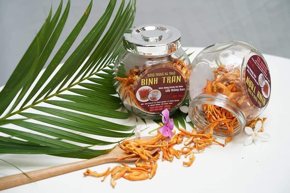 Đông Trùng Hạ Thảo Bình Trân