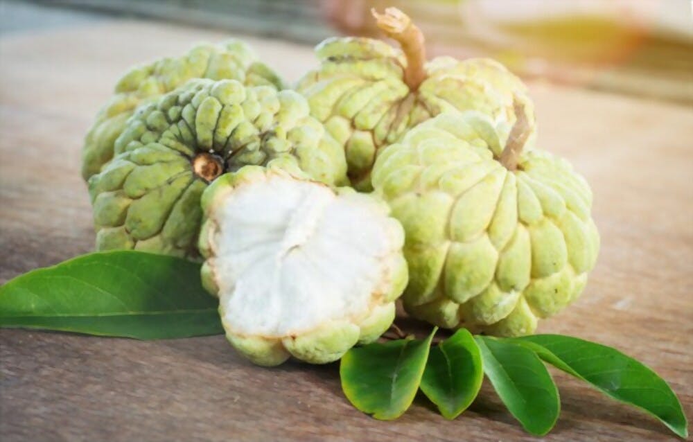 Mãng cầu