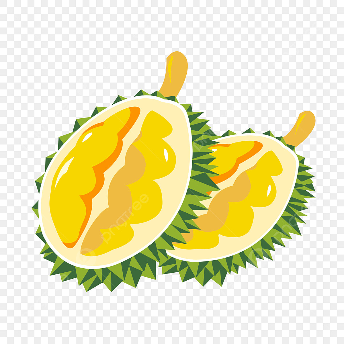 Sầu riêng Ri6 - Nhơn Bình A