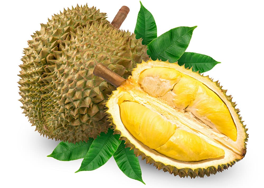 Sầu riêng