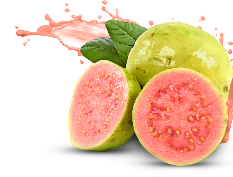 Ổi ruột hồng Thới Tân