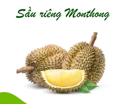 Sầu riêng monthong 