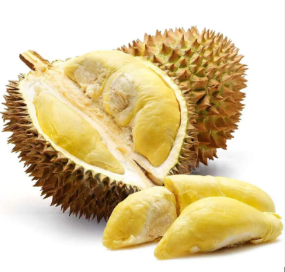 Sầu riêng Ri6   