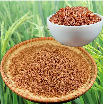 Gạo Hồng Ngọc Mekong