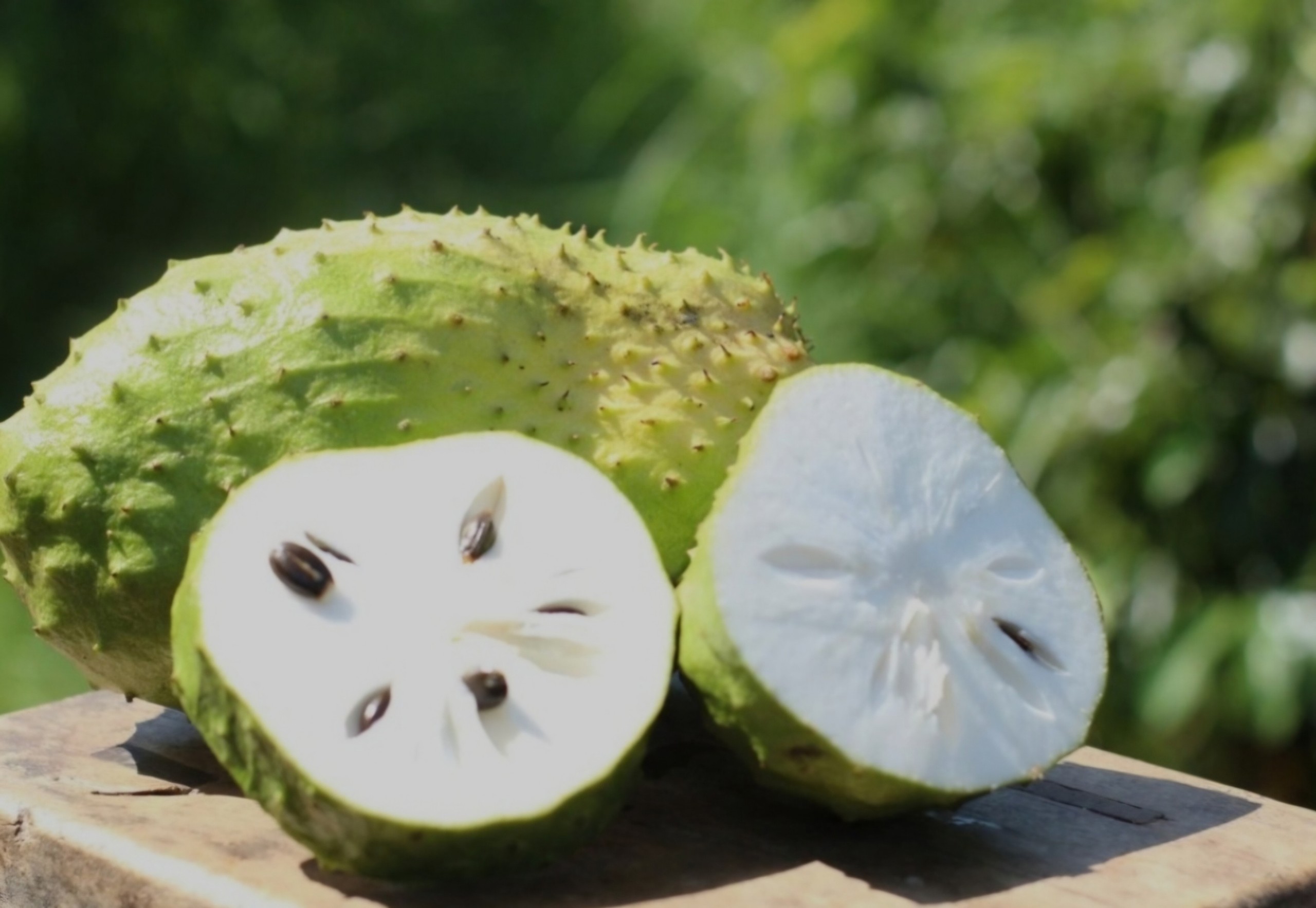 Mãng cầu